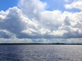 Irland 44 Shannon Teil I - 0969