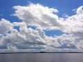 Irland 44 Shannon Teil I - 0979
