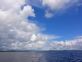 Irland 44 Shannon Teil I - 0980