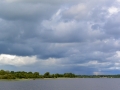 Irland 44 Shannon Teil I - 0981