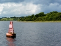 Irland 44 Shannon Teil I - 0985