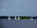 Irland 44 Shannon Teil I - 0992