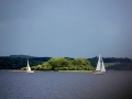 Irland 44 Shannon Teil I - 0993