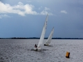 Irland 44 Shannon Teil I - 0994