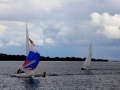 Irland 44 Shannon Teil I - 0995