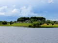 Irland 44 Shannon Teil I - 1001
