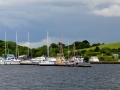 Irland 44 Shannon Teil I - 1002