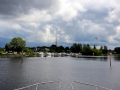 Irland 44 Shannon Teil I - 1007