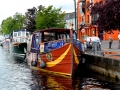 Irland 44 Shannon Teil I - 1014