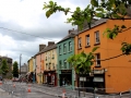 Irland 44 Shannon Teil I - 1019