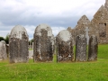 Irland 45 Clonmacnoise - 1177