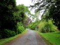 Irland 46 Birr - 1185