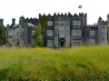 Irland 46 Birr - 1186
