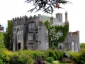 Irland 46 Birr - 1187