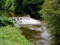 Irland 46 Birr - 1189