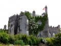 Irland 46 Birr - 1195
