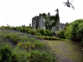 Irland 46 Birr - 1196