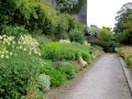 Irland 46 Birr - 1197