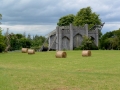 Irland 46 Birr - 1201