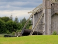 Irland 46 Birr - 1202