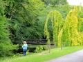 Irland 46 Birr - 1210