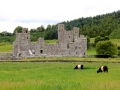 Irland 50 Fore Abbey - 1289