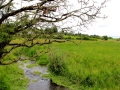 Irland 50 Fore Abbey - 1294