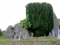 Irland 50 Fore Abbey - 1314