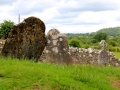 Irland 50 Fore Abbey - 1317