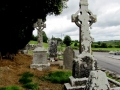 Irland 50 Fore Abbey - 1319