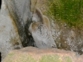 Irland 51 Loughcrew - 1348