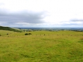 Irland 51 Loughcrew - 1353