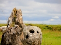 Irland 51 Loughcrew - 1364