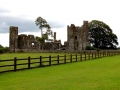 Irland 52 Bective Abbey - 1368