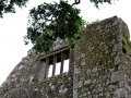Irland 52 Bective Abbey - 1370
