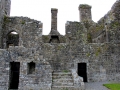 Irland 52 Bective Abbey - 1371