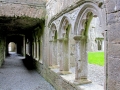 Irland 52 Bective Abbey - 1373