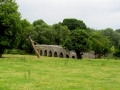 Irland 52 Bective Abbey - 1376