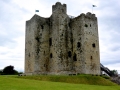 Irland 53 Trim Castle -  1378