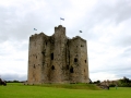 Irland 53 Trim Castle -  1390