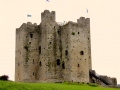 Irland 53 Trim Castle -  1391