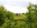 Irland 53 Trim Castle -  1392