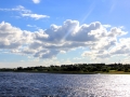 Irland 44 Shannon Teil II - 1033