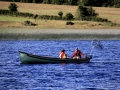 Irland 44 Shannon Teil II - 1034