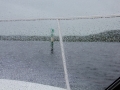 Irland 44 Shannon Teil II - 1047