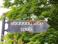 Irland 44 Shannon Teil II - 1072