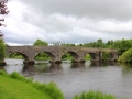 Irland 44 Shannon Teil II - 1075