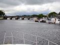 Irland 44 Shannon Teil II - 1088