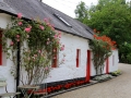 Irland 03 Avoca - 0173