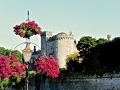 Irland 04 Kilkenny - 0186
